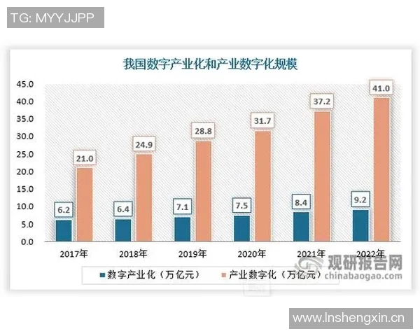 创新驱动下的鞋业发展趋势与未来市场前景分析