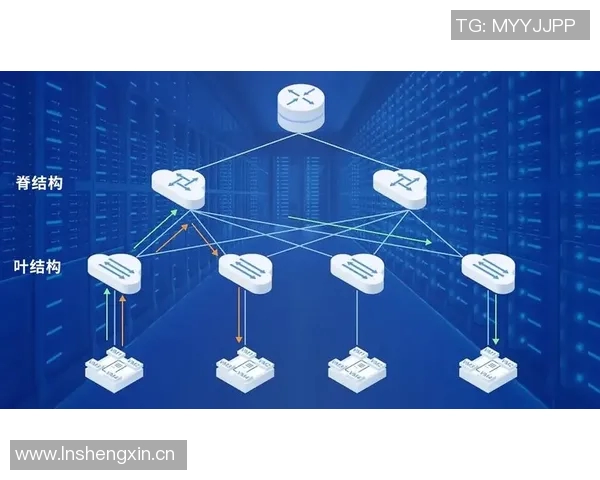 数字化时代下互联网信息的快速发展与创新趋势探析